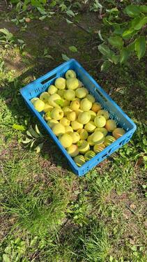 Foto - Grundst&uuml;ck in Lohr am Main