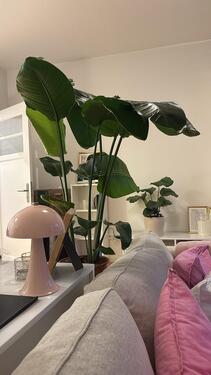 Foto - Wohnung zur Untermiete 25.05 - 30.06.2026