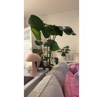 Wohnung zur Untermiete 25.05 - 30.06.2026 - Hamburg Winterhude