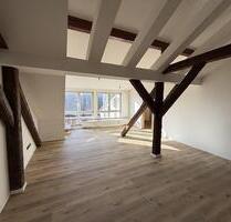 Exklusive Loft-DG-Wohnung mit 42 m² Dachterrasse & Blick über Erlangen! - Buckenhof