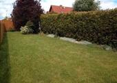 Foto - 5 Zimmer Einfamilienhaus in Dingelstädt