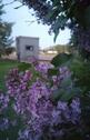 Foto - andere in Mirow