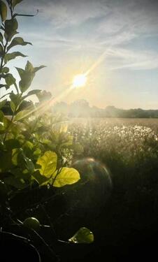 Foto - andere in Mirow zur Miete