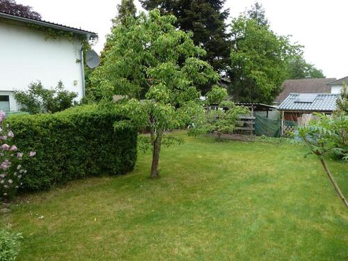 Foto - Mehrfamilienhaus, Wohnhaus in Walsrode zum Kaufen
