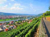 Foto - Einfamilienhaus zur Miete in Klingenberg am Main