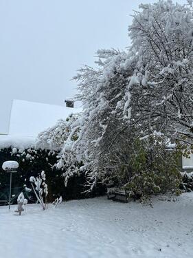 Foto - 1.5 Zimmer Erdgeschoßwohnung zur Miete in Ingolstadt