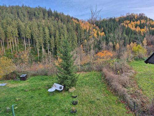 Foto - Wohnung in Finsterbergen zu vermieten