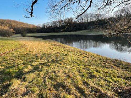 Foto - Wiesen in Katzenfurt bei Wetzlar