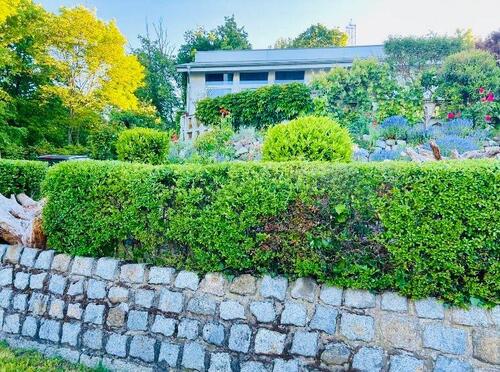 Foto - Ferienbungalow mit Blick auf den wunderschönen Tollensesee