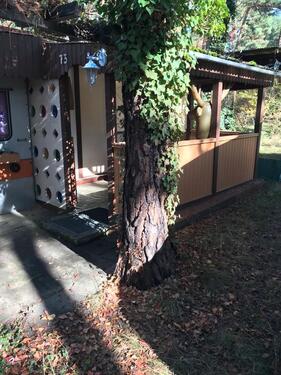 Foto - Grundstück in Peitz