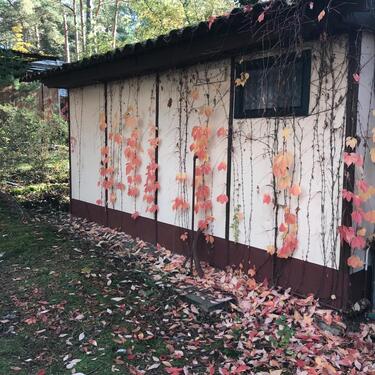 Foto - Grundstück in Peitz zur Miete