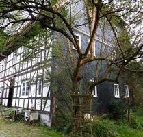 Historischer 3-Seiten - Hof in Fast--Alleinlage - Themar