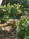 Foto - Einfamilienhaus in Themar zum Kaufen