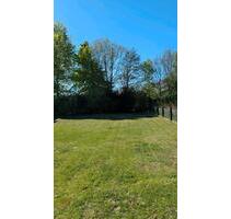 Haus zu verkaufen - 479.000,00 EUR Kaufpreis, ca.  380,00 m² in Hamberge (PLZ: 23619)