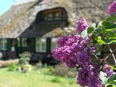 Foto - Wunderschönes Bauernhaus in Consrade mit viel Land