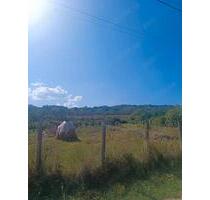 Traumhaftes Grundstück mit Obstbäumen & Gewächshäusern Rumanien - Marburg