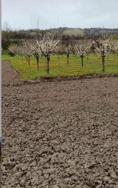Foto - Grundst&uuml;ck in Marburg