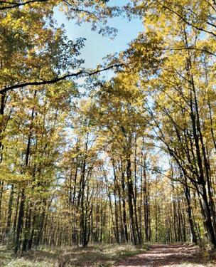 Foto - Grundst&uuml;ck in Marburg zur Miete