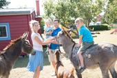 Foto - Idyllische Ferienhäuser nahe der Ostsee – Familienfreundlich
