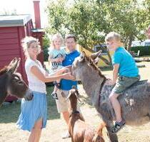 Idyllische Ferienhäuser nahe der Ostsee – Familienfreundlich - Lubmin