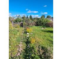 schöner Kleingarten abzugeben (Schrebergarten) - Eisfeld