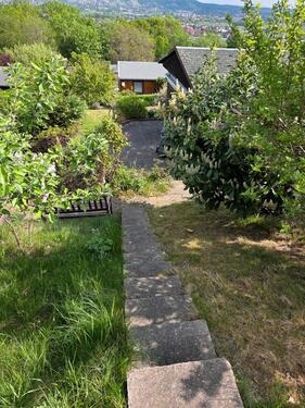 Foto - 
