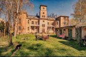 Foto - Idyllisch Wohnen am Schlosspark im Schloss im Ketzerbachtal