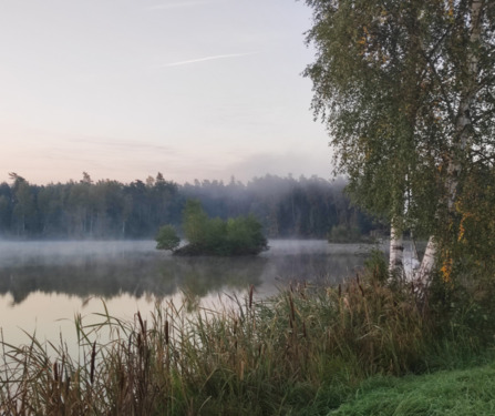 Foto - Etagenwohnung in Schwandorf zur Miete