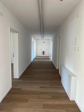 Foto - andere in Norderstedt