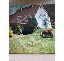 Haus Immobilie Wohnhaus - 199.000,00 EUR Kaufpreis, ca.  102,00 m² in Hachenburg (PLZ: 57627)