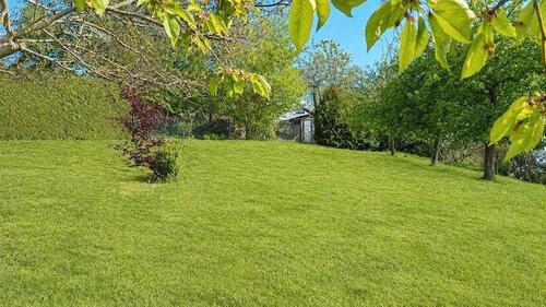Foto - Grundst&uuml;ck in Neuenbürg