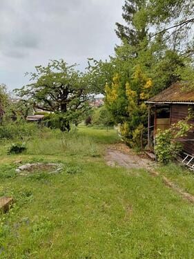 Foto - Freizeitgrundstück 1500 qm zu verpachten