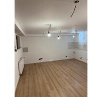 1 Zimmer Wohnung, Erstbezug nach Sanierung - Pliezhausen