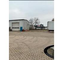 Lagerhalle, Lager, Freifläche, Autohandel, Stellplatz - Bergheim Auenheim