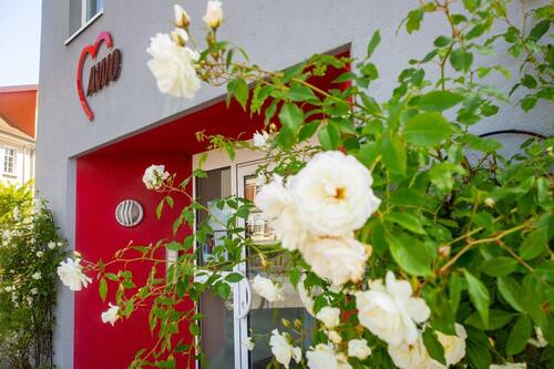 Foto - Ein-Raumwohnung im Betreuten Wohnen im AWO Haus Grimmen