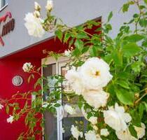 Ein-Raumwohnung im Betreuten Wohnen im AWO Haus Grimmen