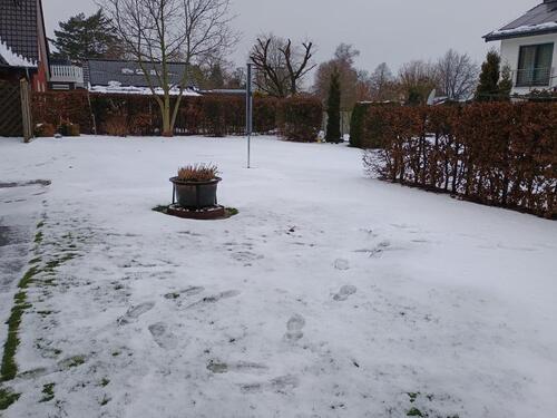 Foto - 3 Zimmer Einfamilienhaus zur Miete in Enger