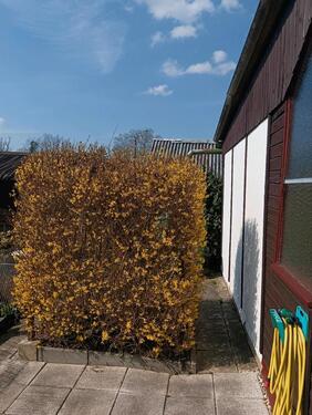 Foto - Grundst&uuml;ck in Görlitz