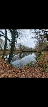 Foto - Grundst&uuml;ck in Hamminkeln zur Miete