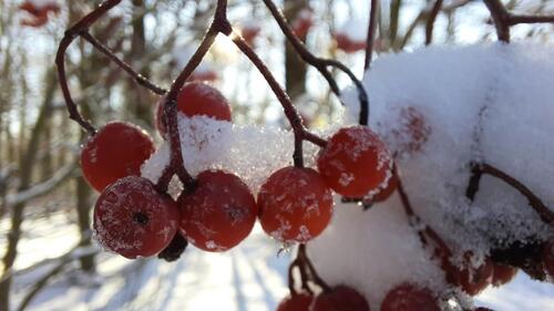 Foto - andere in Amtsberg