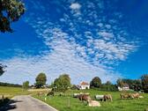 Foto - andere in Burggen