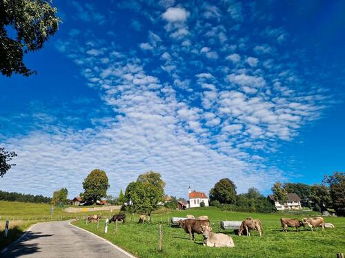 Foto - andere in Burggen