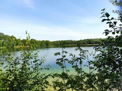 Foto - andere in Zetel zur Miete