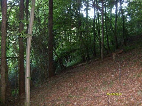 Foto - 2 Waldgrundstücke - 3,00 EUR Kaltmiete, ca.  0,00 m²