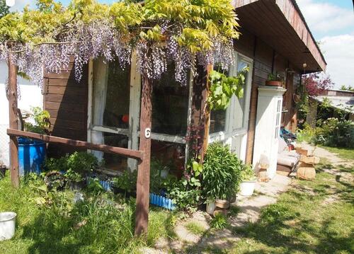 Foto - Pachtgarten in Ostseenähe Bad Sülze