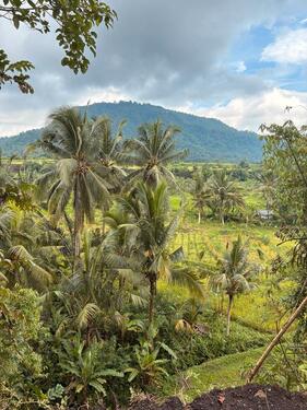 Foto - Einfamilienhaus in Berlin zum Kaufen