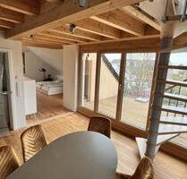 Schöne möblierte Wohnung mit Südterrasse und Empore - Schwetzingen