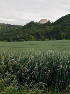 Foto - Wohnhaus in 37339 Wintzingerode