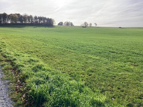 Foto - Grundst&uuml;ck zur Miete in Großröhrsdorf