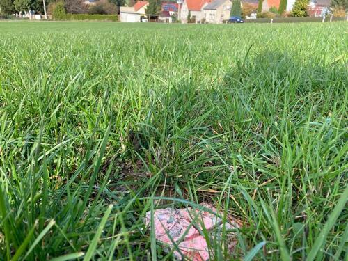 Foto - Grundst&uuml;ck in Großröhrsdorf zur Miete